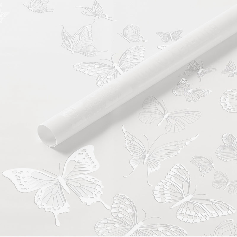 dw-01-white