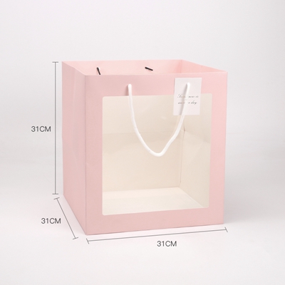 ccstd-s-164-pink
