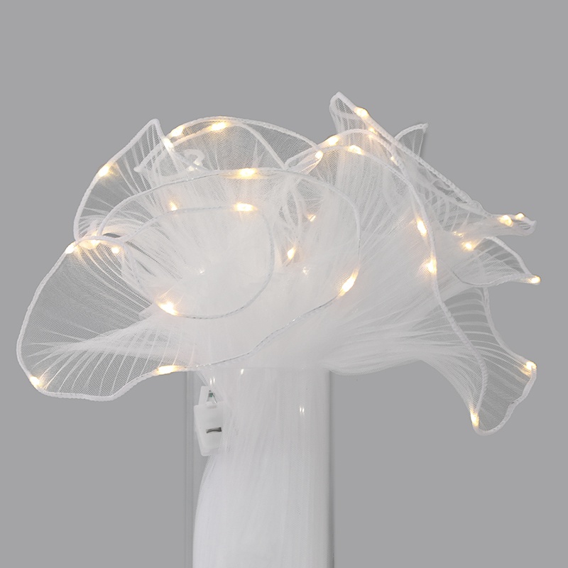 nds-111-white