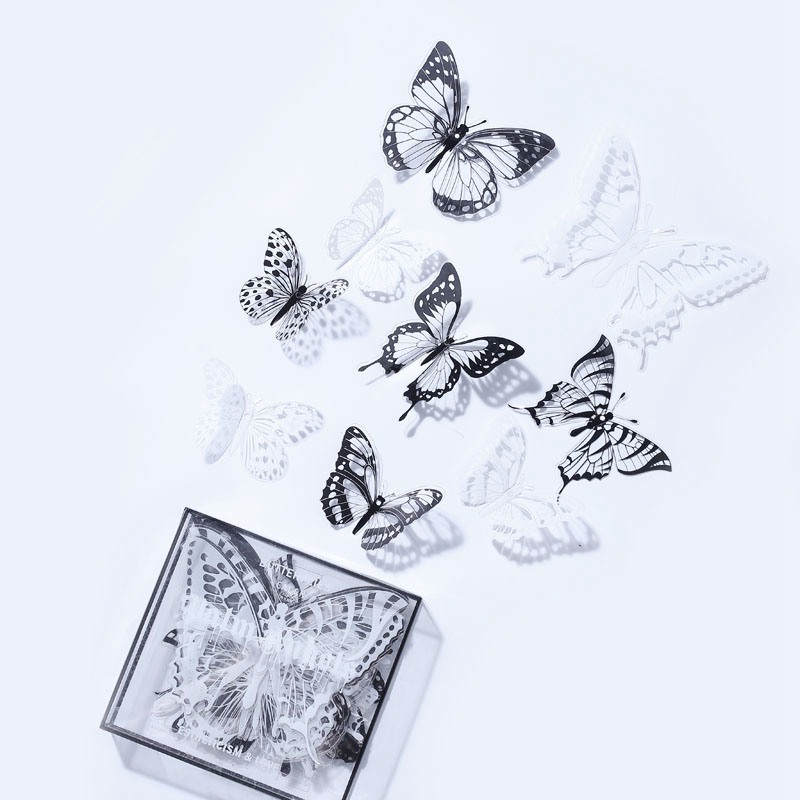 pvchd-01-black-white